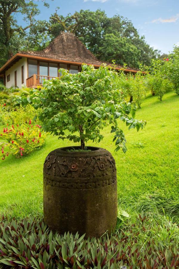 La Coralina Island House Hotel Bocas Town Ngoại thất bức ảnh