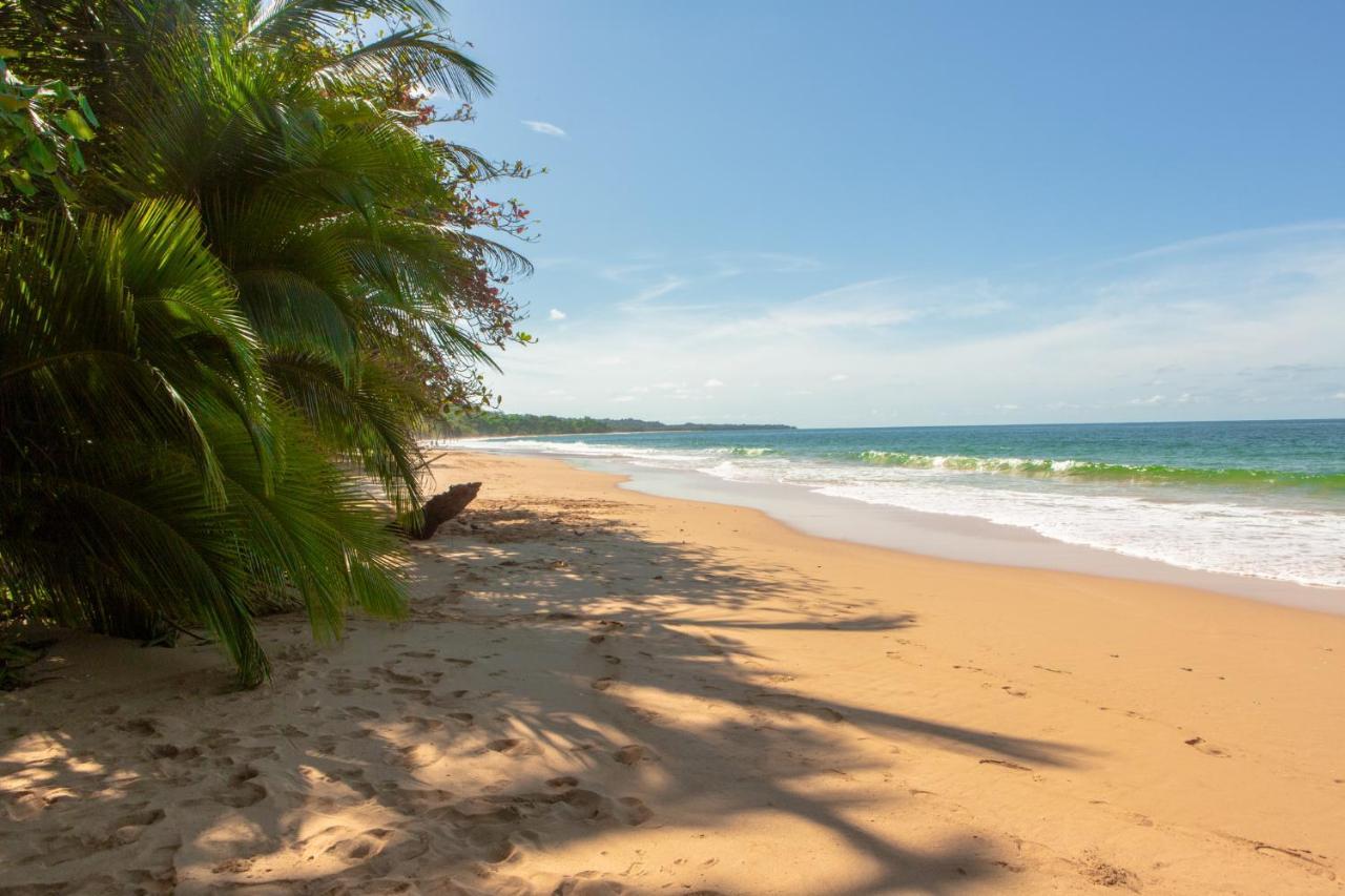 La Coralina Island House Hotel Bocas Town Ngoại thất bức ảnh