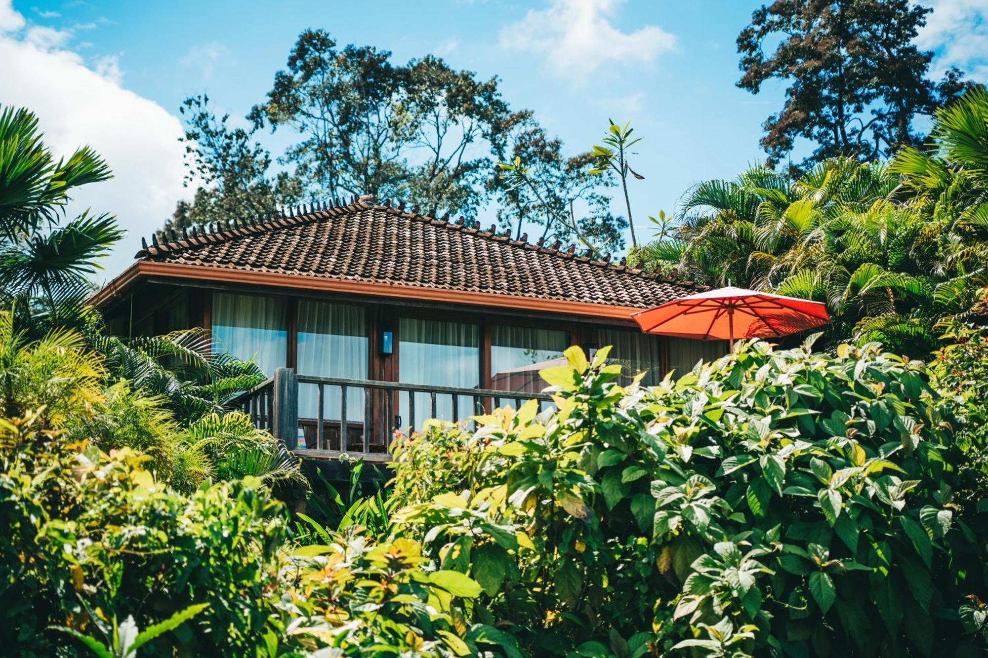 La Coralina Island House Hotel Bocas Town Ngoại thất bức ảnh